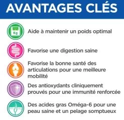 Hill's Science Plan VetEssentials Neutered Dog Adult Large Breed Poulet 12 Kg -Fournitures pour animaux hill s vetessentials neutered dog adult large3