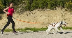 I-Dog Harnais X-Back One M 6 I-Dog Harnais X-Back One M -Fournitures pour animaux i dog harnais x back one2 1 1