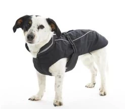 Imperméable Noir Outdoor Wear Buster Chien XS