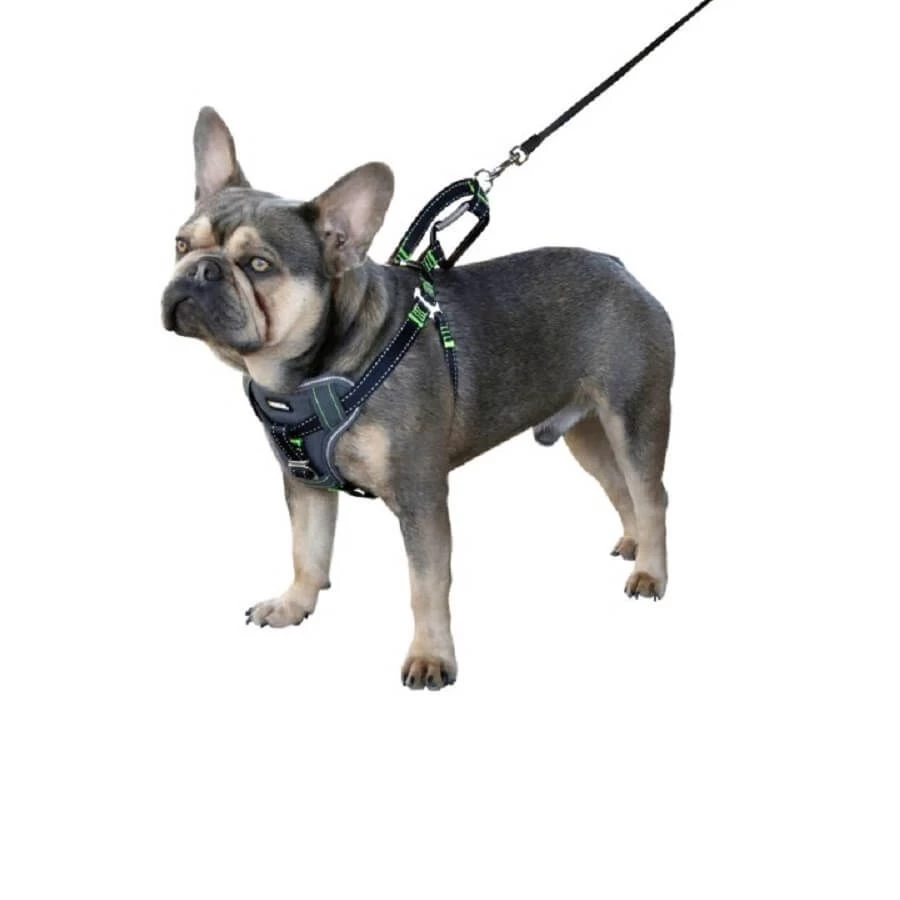 Kerbl Harnais Pour La Voiture Chien 65-85 Cm 4 Kerbl Harnais Pour La Voiture Chien 65-85 Cm – Image 2