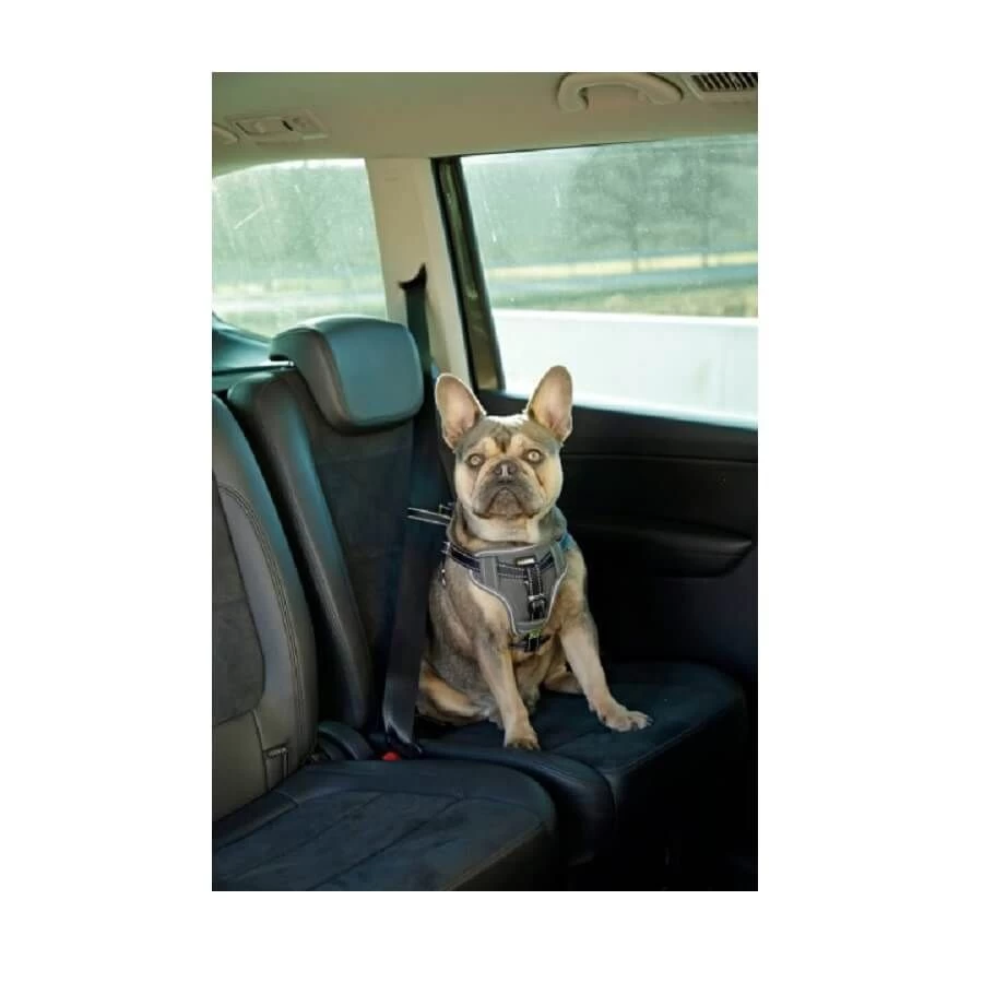 Kerbl Harnais Pour La Voiture Chien 65-85 Cm 5 Kerbl Harnais Pour La Voiture Chien 65-85 Cm – Image 3