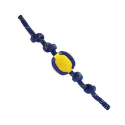 KONG Jaxx Brights Balle Avec Corde Assorti -Fournitures pour animaux kong jaxx brights balle avec corde assorti 2