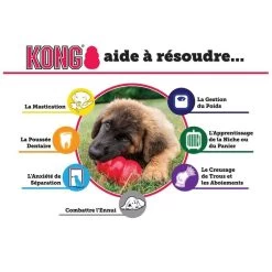 KONG Classic Rouge Small -Fournitures pour animaux kong classic rouge small3