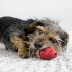 KONG Friandises Marathon Chicken Pour Chien L 192 G -Fournitures pour animaux kong friandises marathon chicken 1 1