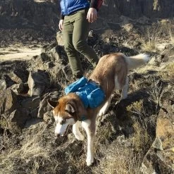 Kurgo Harnais RSG County Bleu Azur Pour Chien S -Fournitures pour animaux kurgo harnais rsg county bleu azur pour chien3