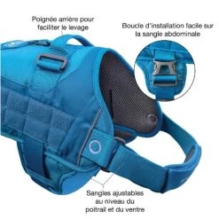 Kurgo Harnais RSG Townie Bleu Azur Pour Chien M 7 Kurgo Harnais RSG Townie Bleu Azur Pour Chien M -Fournitures pour animaux kurgo harnais rsg townie bleu azur 2 1 1