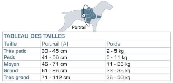 Kurgo Harnais RSG Townie Bleu Azur Pour Chien M 6 Kurgo Harnais RSG Townie Bleu Azur Pour Chien M – Image 4