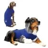 KVP Gilet Médical L -Fournitures pour animaux kvp gilet m dical 4