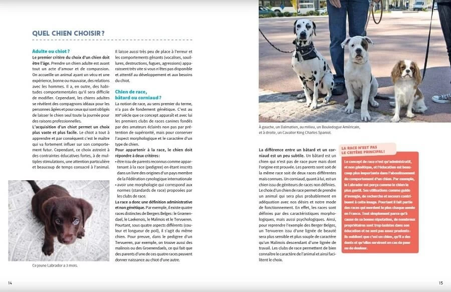 Livre - L'éducation Positive Du Chien 6 Livre - L'éducation Positive Du Chien – Image 4