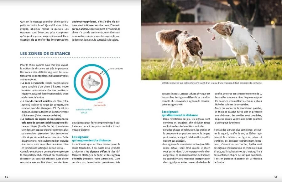 Livre - L'éducation Positive Du Chien 7 Livre - L'éducation Positive Du Chien – Image 5