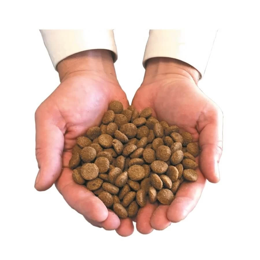 Canichef Croquettes BIO Chien Senior 2 Kg 5 Canichef Croquettes BIO Chien Senior 2 Kg – Image 3