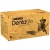Purina DentaLife Stick Chien Maxi 72 Bâtonnets -Fournitures pour animaux maxi 2 x 36
