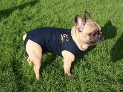 Medical Pet Shirt Chien XL -Fournitures pour animaux medical pet shirt chien 1 1 1 2 1 1