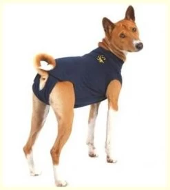 Medical Pet Shirt Chien M