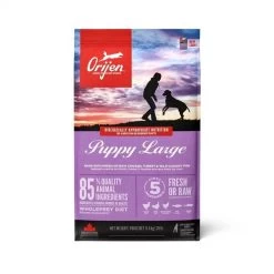 Orijen Dog Puppy Grande Race 6 Kg -Fournitures pour animaux orijen dog puppy grande race 6 kg