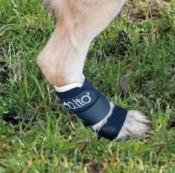 Orthese Balto Carpe Et Tarse M -Fournitures pour animaux orthese balto carpe et tarse3 1 1 1