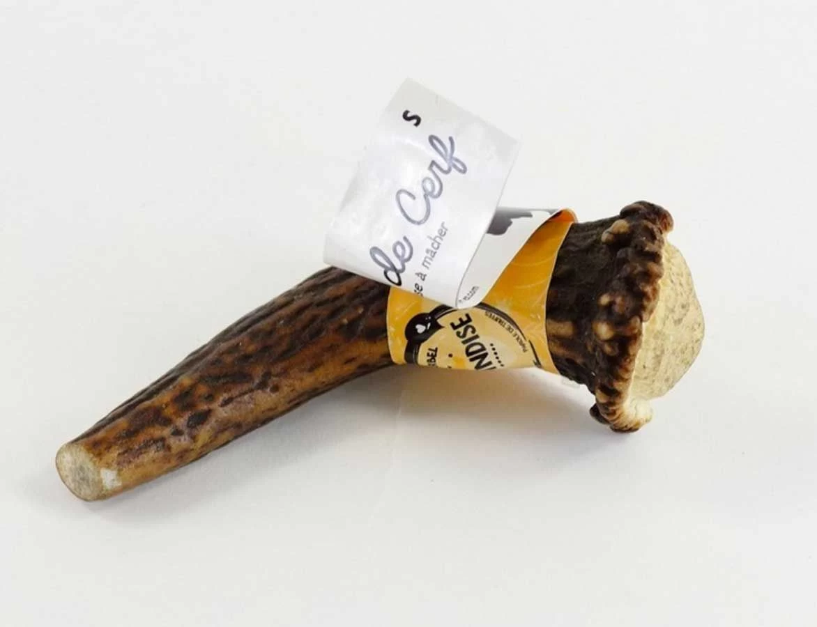 Parole De Truffes Bois De Cerf S