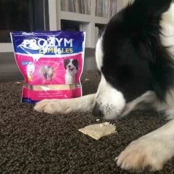 Prozym Lamelles Chiens M 15-25 Kg 15 Lamelles -Fournitures pour animaux prozym lamelles chiens m 15 25 kg nouveau 1 1