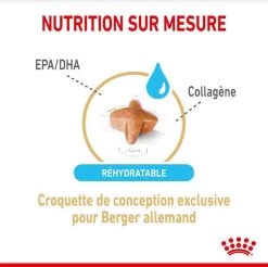 Royal Canin Berger Allemand Adult 5+ 12 Kg -Fournitures pour animaux royal canin berger allemand adult 5 2 1