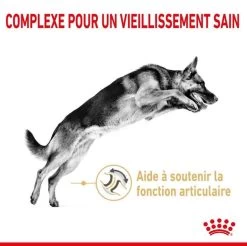 Royal Canin Berger Allemand Adult 5+ 12 Kg -Fournitures pour animaux royal canin berger allemand adult 5 1