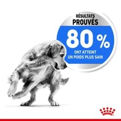 Royal Canin Canine Care Nutrition Medium Light Weight Care 12 Kg -Fournitures pour animaux royal canin canine care nutrition medium light weight care3 2