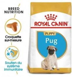 Royal Canin Carlin Puppy 1.5 Kg 6 Royal Canin Carlin Puppy 1.5 Kg -Fournitures pour animaux royal canin carlin puppy 1.5 kg2