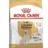 Royal Canin Labrador Retriever Adult 5+ 12 Kg -Fournitures pour animaux royal canin labrador retriever adult 5 12 kg