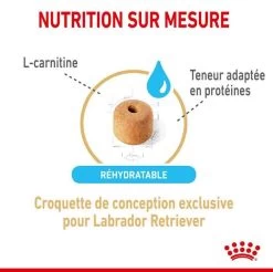 Royal Canin Labrador Retriever Adult 5+ 12 Kg -Fournitures pour animaux royal canin labrador retriever adult 5 2
