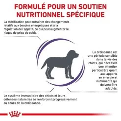 Royal Canin Vet Care Neutered Junior Dog 10 Kg -Fournitures pour animaux royal canin vet care neutered junior dog 10 kg 2