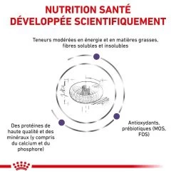 Royal Canin Vet Care Neutered Junior Dog 10 Kg -Fournitures pour animaux royal canin vet care neutered junior dog 10 kg 3