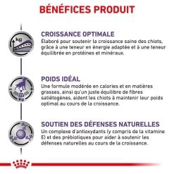 Royal Canin Vet Care Neutered Junior Dog 10 Kg -Fournitures pour animaux royal canin vet care neutered junior dog 10 kg 4