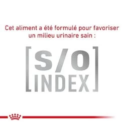 Royal Canin Vet Chien Mature Consult 12 X 85 G 10 Royal Canin Vet Chien Mature Consult 12 X 85 G -Fournitures pour animaux royal canin veterinary dog mature consult 12 x 85 g 4