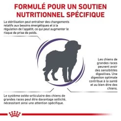 Royal Canin Veterinary Neutered Adult Large Dog 12 Kg -Fournitures pour animaux royal canin veterinary neutered adult large dog 12 kg 2