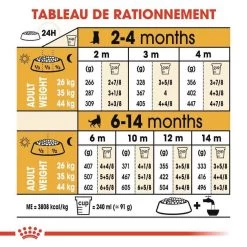 Royal Canin Berger Allemand Puppy 12 Kg 15 Royal Canin Berger Allemand Puppy 12 Kg -Fournitures pour animaux royal canin berger allemand junior 8 1