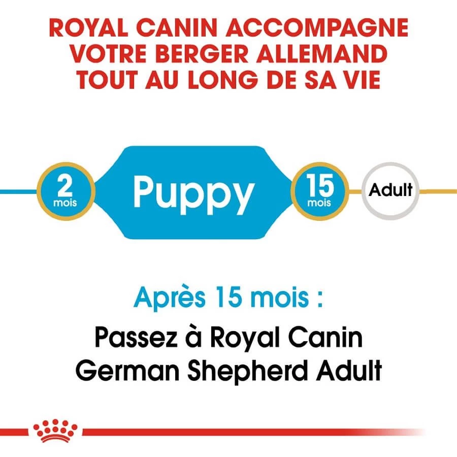 Royal Canin Berger Allemand Puppy 12 Kg 4 Royal Canin Berger Allemand Puppy 12 Kg – Image 2