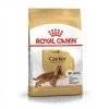 Royal Canin Cocker Adult 3 Kg
