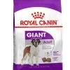Royal Canin Giant Adult 4 Kg -Fournitures pour animaux royal canin giant adult la compagnie des animaux