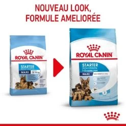 Royal Canin Vet Maxi Starter Mother And Babydog 4 Kg -Fournitures pour animaux royal canin maxi starter mother and babydog 1