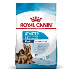 Royal Canin Vet Maxi Starter Mother And Babydog 4 Kg -Fournitures pour animaux royal canin maxi starter mother and babydog 10 1