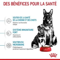 Royal Canin Vet Maxi Starter Mother And Babydog 4 Kg -Fournitures pour animaux royal canin maxi starter mother and babydog 3 1