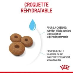 Royal Canin Vet Maxi Starter Mother And Babydog 4 Kg -Fournitures pour animaux royal canin maxi starter mother and babydog 4 1