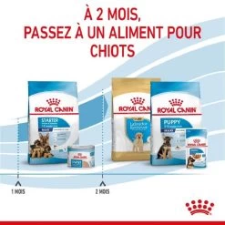 Royal Canin Vet Maxi Starter Mother And Babydog 4 Kg -Fournitures pour animaux royal canin maxi starter mother and babydog 5 1