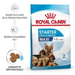 Royal Canin Vet Maxi Starter Mother And Babydog 4 Kg -Fournitures pour animaux royal canin maxi starter mother and babydog 9 1