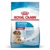 Royal Canin Medium Starter Mother And Babydog 4 Kg -Fournitures pour animaux royal canin medium starter mother and babydog 10