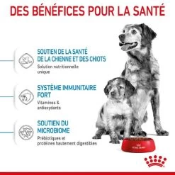 Royal Canin Medium Starter Mother And Babydog 4 Kg 14 Royal Canin Medium Starter Mother And Babydog 4 Kg -Fournitures pour animaux royal canin medium starter mother and babydog 3