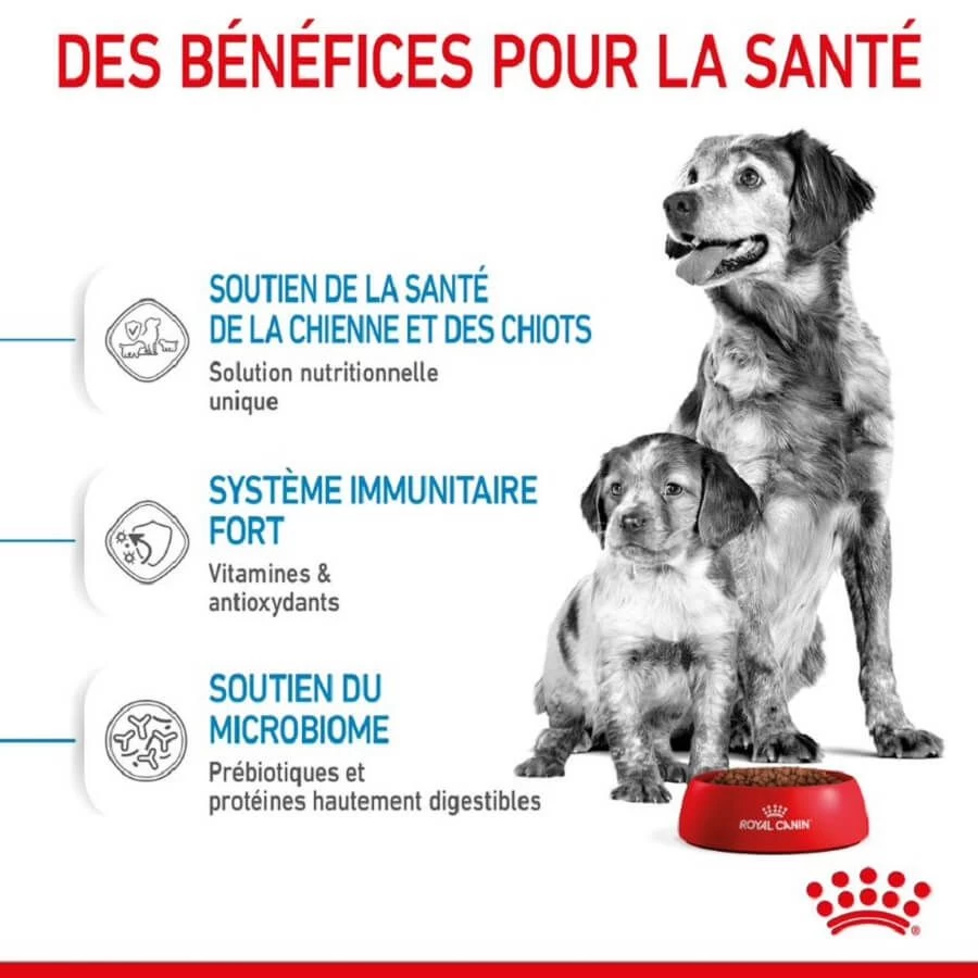 Royal Canin Medium Starter Mother And Babydog 4 Kg 6 Royal Canin Medium Starter Mother And Babydog 4 Kg – Image 4