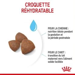 Royal Canin Medium Starter Mother And Babydog 4 Kg 15 Royal Canin Medium Starter Mother And Babydog 4 Kg -Fournitures pour animaux royal canin medium starter mother and babydog 4