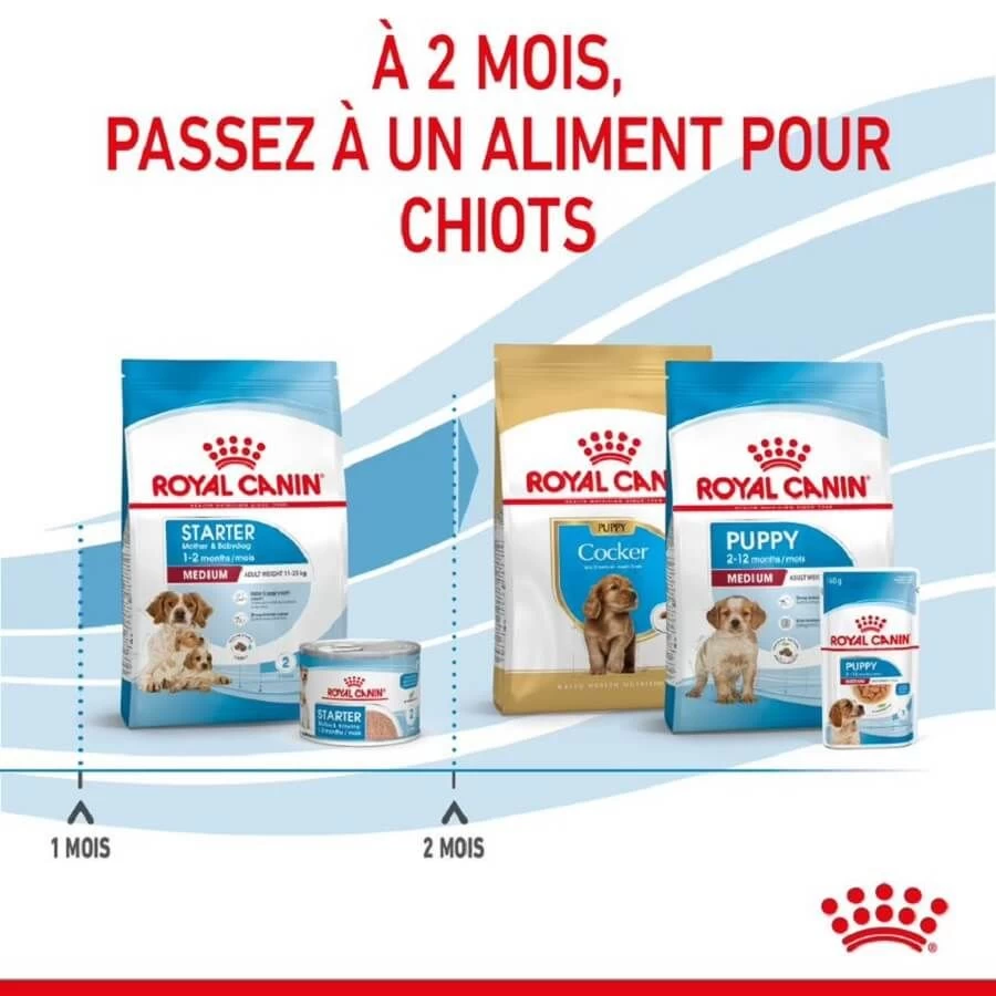 Royal Canin Medium Starter Mother And Babydog 4 Kg 8 Royal Canin Medium Starter Mother And Babydog 4 Kg – Image 6