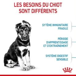 Royal Canin Vet Puppy Maxi 15 Kg -Fournitures pour animaux royal canin puppy maxi 2 1 1 1