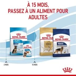Royal Canin Vet Puppy Maxi 15 Kg -Fournitures pour animaux royal canin puppy maxi 5 2
